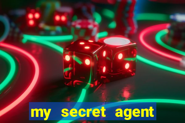 my secret agent husband legendado